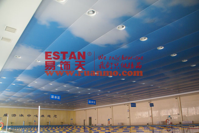 國(guó)標(biāo)游泳館